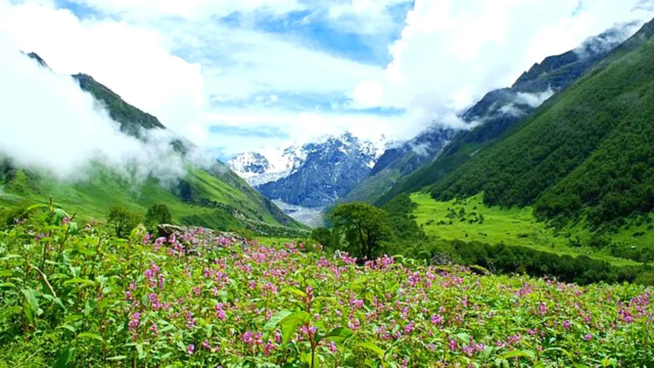 11 Natural Wonders of India to Discover the Mystery of Nature