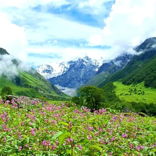 11 Natural Wonders of India to Discover the Mystery of Nature